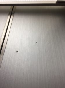 エレベーター壁修理
