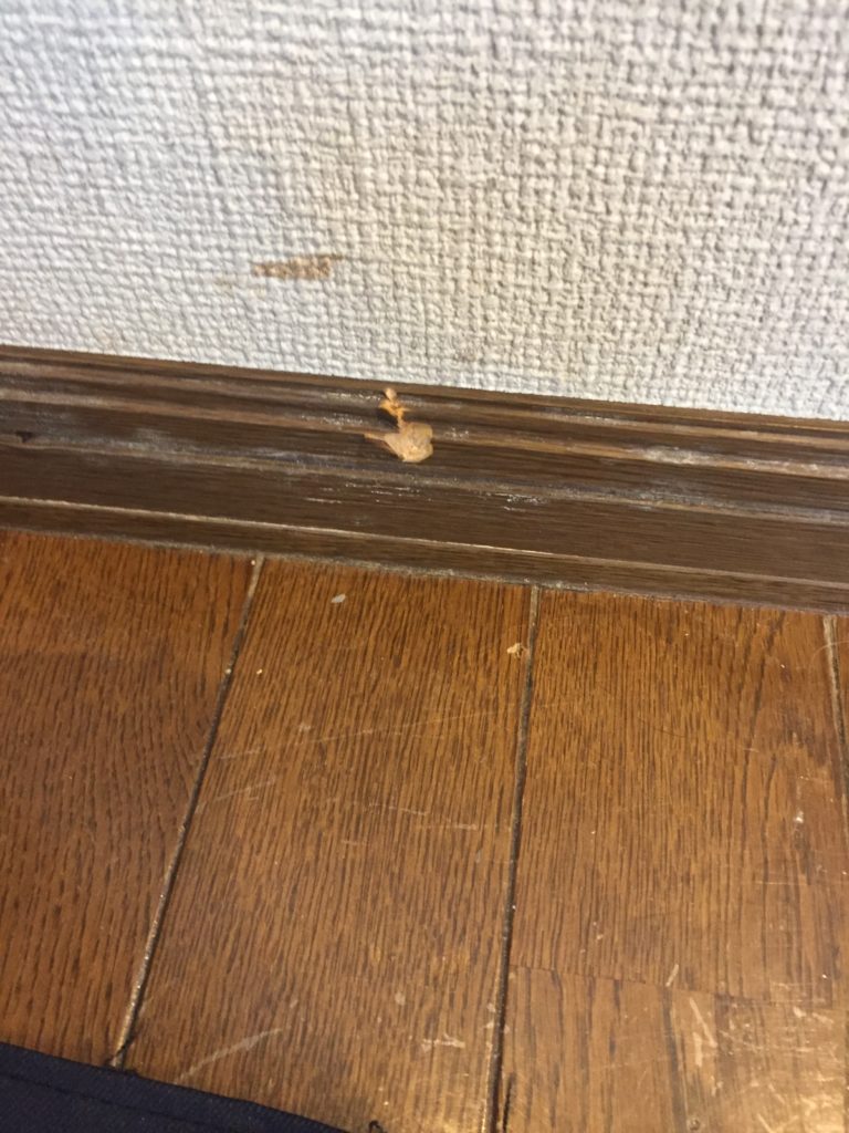 巾木・フローリング補修