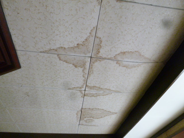 雨漏り修理火災保険